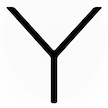 Y women's